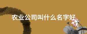 農業公司叫什么名字好
