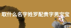 取什么名字姓羅配貴字男寶寶