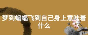 夢到蝙蝠飛到自己身上意味著什么