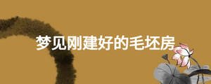 夢(mèng)見(jiàn)剛建好的毛坯房