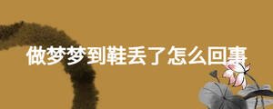 做夢(mèng)夢(mèng)到鞋丟了怎么回事