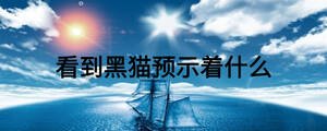 看到黑貓預(yù)示著什么