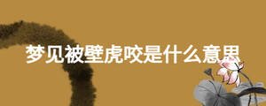 夢(mèng)見被壁虎咬是什么意思