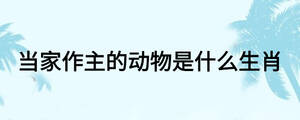 當家作主的動物是什么生肖