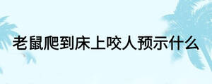老鼠爬到床上咬人預示什么