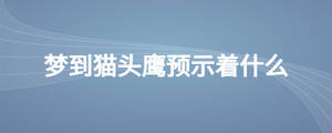 夢到貓頭鷹預(yù)示著什么