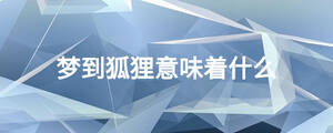 夢(mèng)到狐貍意味著什么