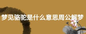 夢見駱駝是什么意思周公解夢