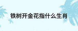 鐵樹(shù)開(kāi)金花指什么生肖