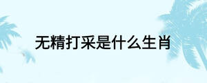 無精打采是什么生肖