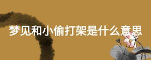 夢(mèng)見和小偷打架是什么意思