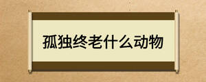 孤獨(dú)終老什么動物