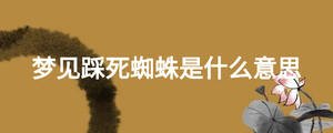 夢見踩死蜘蛛是什么意思