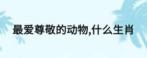 最?lèi)?ài)尊敬的動(dòng)物,什么生肖