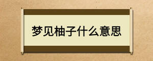 夢(mèng)見柚子什么意思