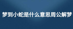 夢到小蛇是什么意思周公解夢