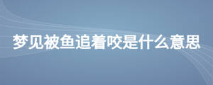 夢(mèng)見被魚追著咬是什么意思