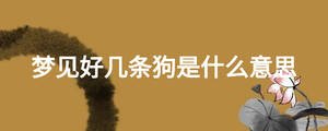 夢(mèng)見(jiàn)好幾條狗是什么意思