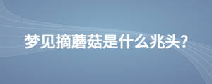 夢見摘蘑菇是什么兆頭?
