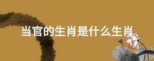 當(dāng)官的生肖是什么生肖