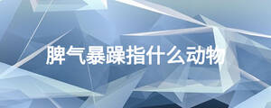 脾氣暴躁指什么動(dòng)物