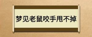 夢(mèng)見(jiàn)老鼠咬手甩不掉