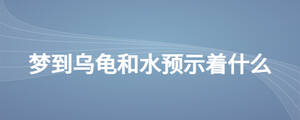 夢到烏龜和水預(yù)示著什么