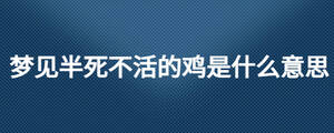 夢(mèng)見(jiàn)半死不活的雞是什么意思