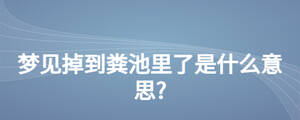 夢(mèng)見掉到糞池里了是什么意思?