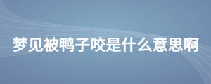 夢見被鴨子咬是什么意思啊