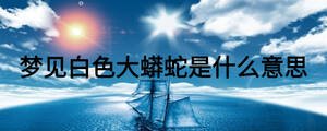 夢見白色大蟒蛇是什么意思