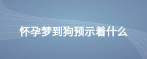 懷孕夢(mèng)到狗預(yù)示著什么
