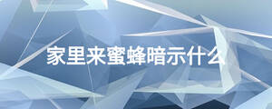 家里來(lái)蜜蜂暗示什么