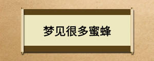夢(mèng)見很多蜜蜂