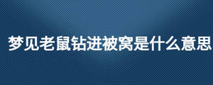 夢見老鼠鉆進被窩是什么意思
