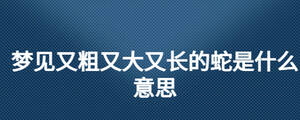夢(mèng)見(jiàn)又粗又大又長(zhǎng)的蛇是什么意思