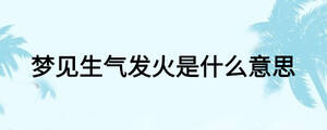 夢(mèng)見生氣發(fā)火是什么意思