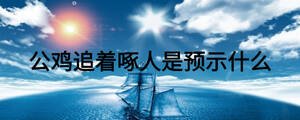 公雞追著啄人是預示什么
