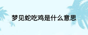 夢見蛇吃雞是什么意思