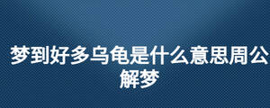 夢到好多烏龜是什么意思周公解夢