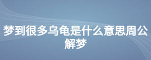 夢到很多烏龜是什么意思周公解夢