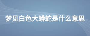 夢見白色大蟒蛇是什么意思