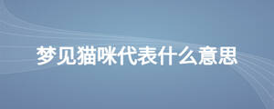 夢(mèng)見(jiàn)貓咪代表什么意思