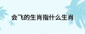 會飛的生肖指什么生肖