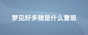 夢(mèng)見好多豬是什么意思