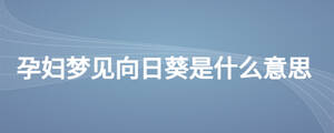 孕婦夢(mèng)見(jiàn)向日葵是什么意思