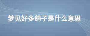 夢(mèng)見好多鴿子是什么意思