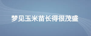 夢(mèng)見玉米苗長得很茂盛