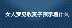 女人夢見收麥子預(yù)示著什么