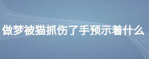 做夢被貓抓傷了手預(yù)示著什么